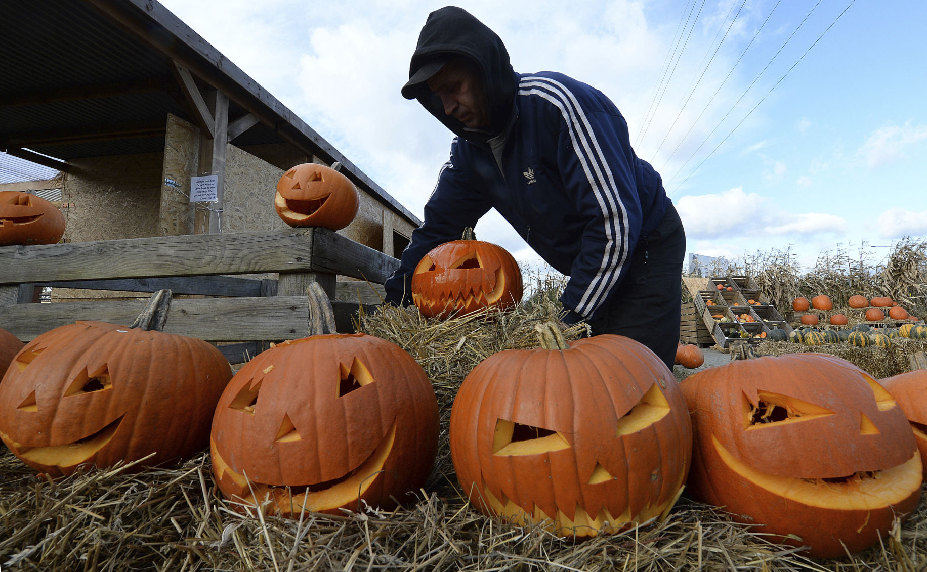 Halloween season